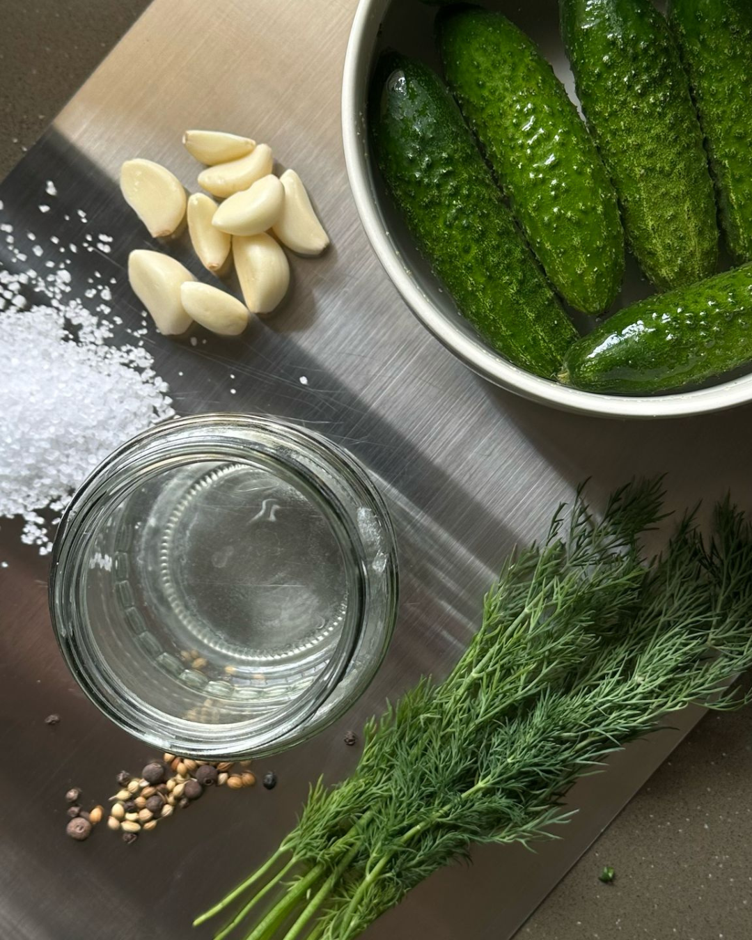 Pickling gherkins Kit