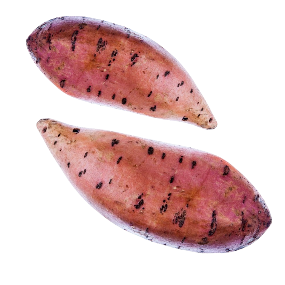 Giant Sweet Potato XXL