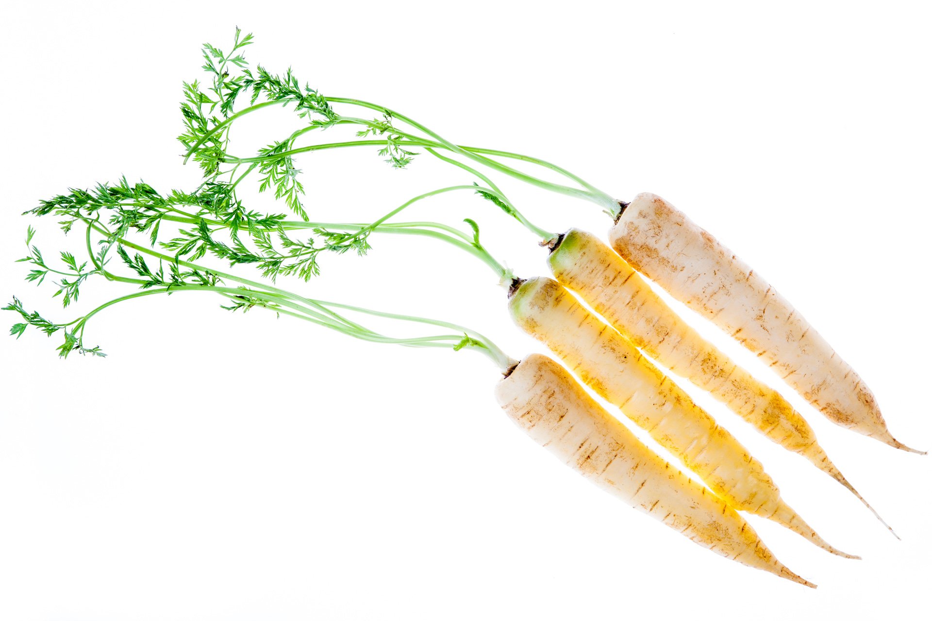 Yellow carrot