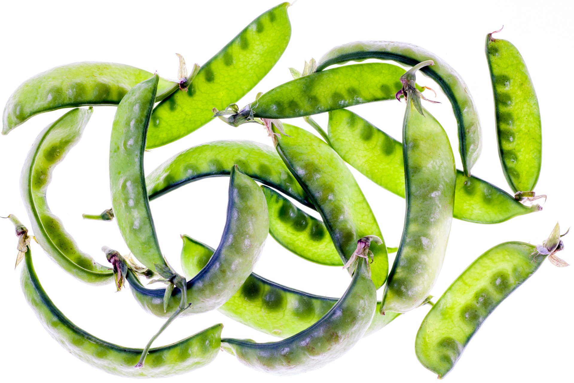 Snowpeas