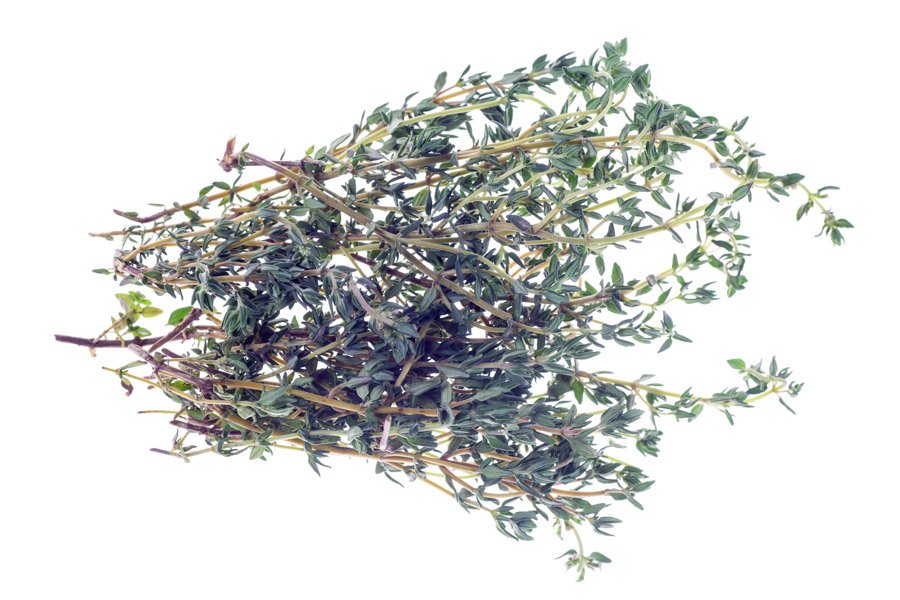 Thyme