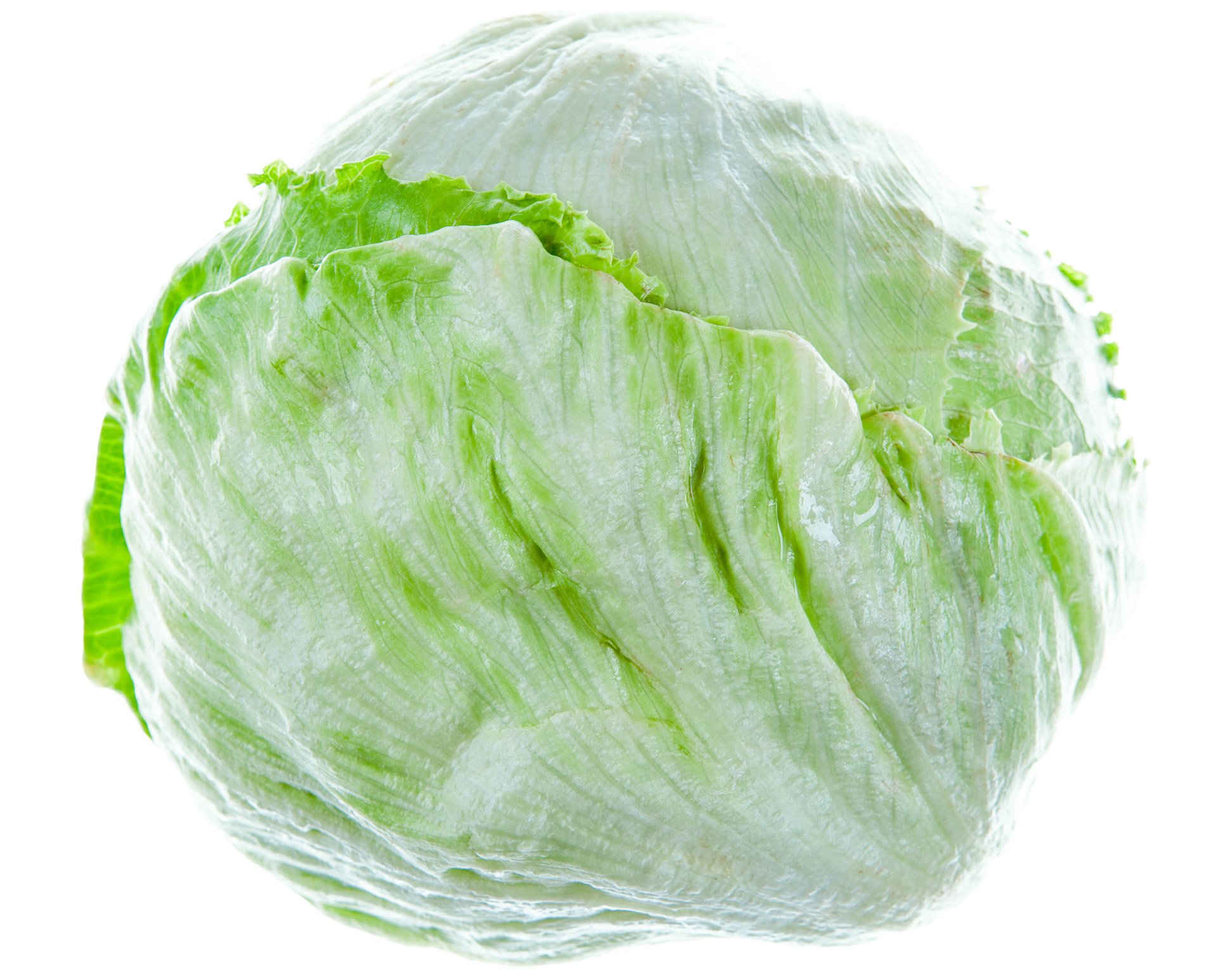 Iceberg lettuce