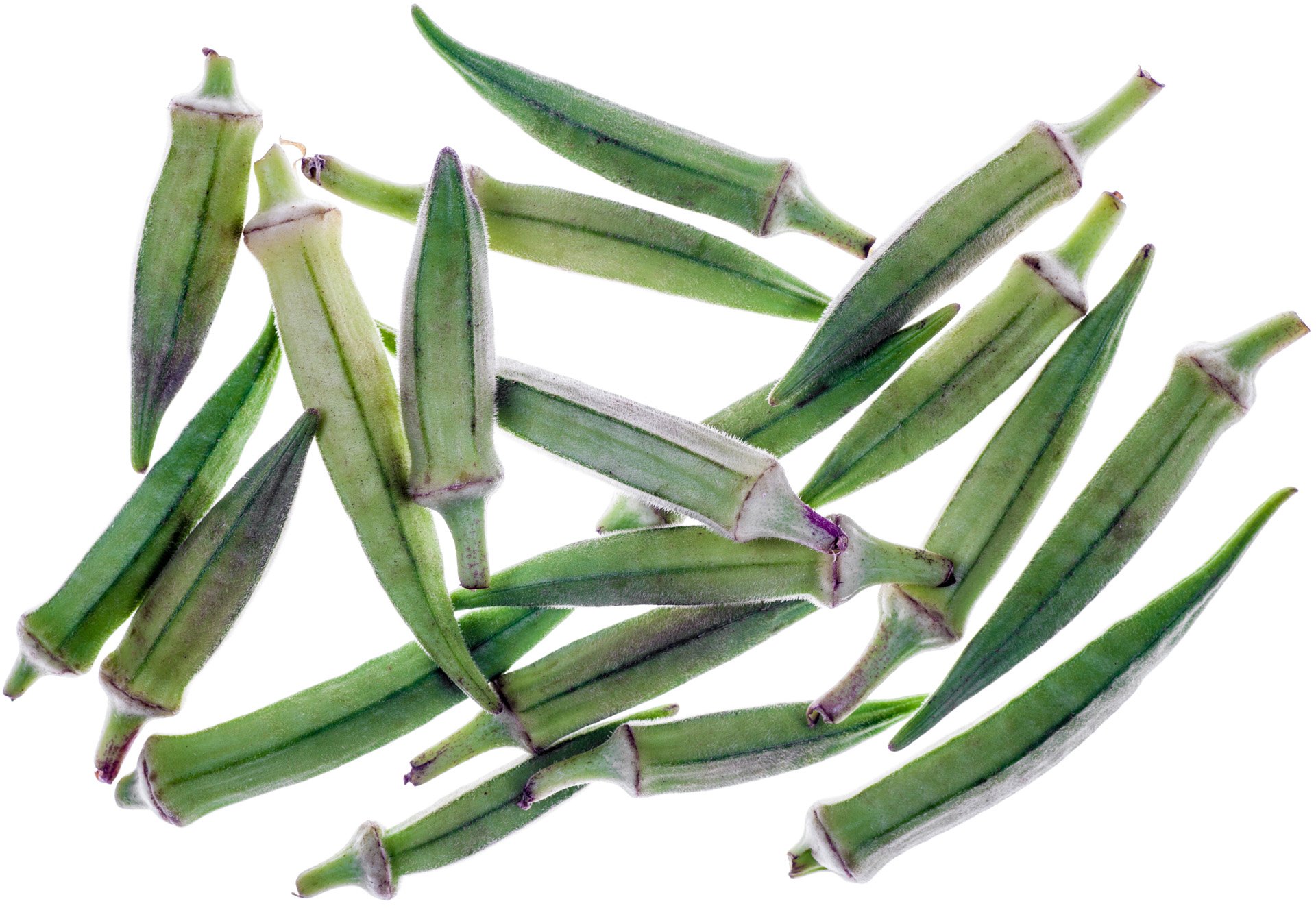 Okra / Lady's fingers