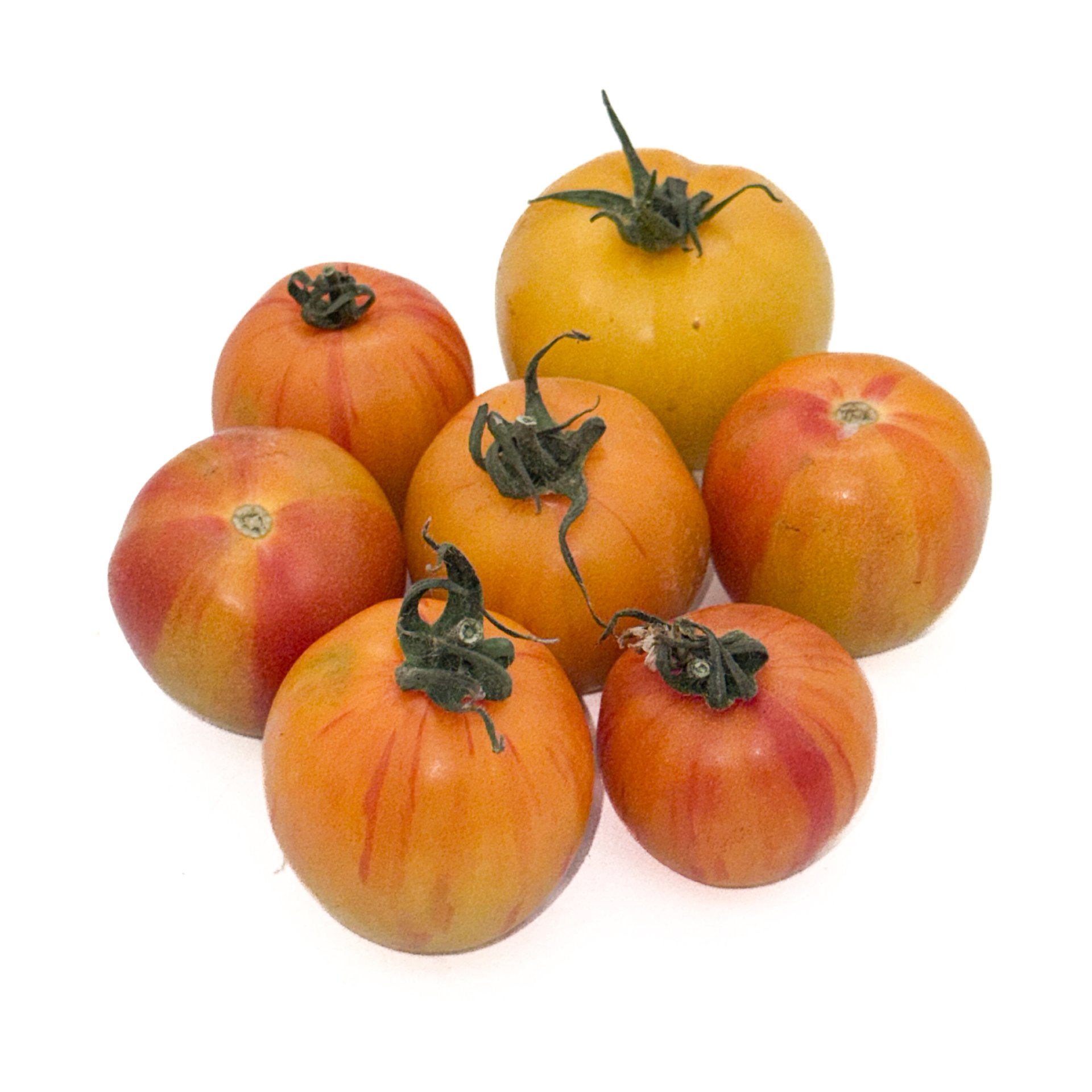 Tiger July Tomato