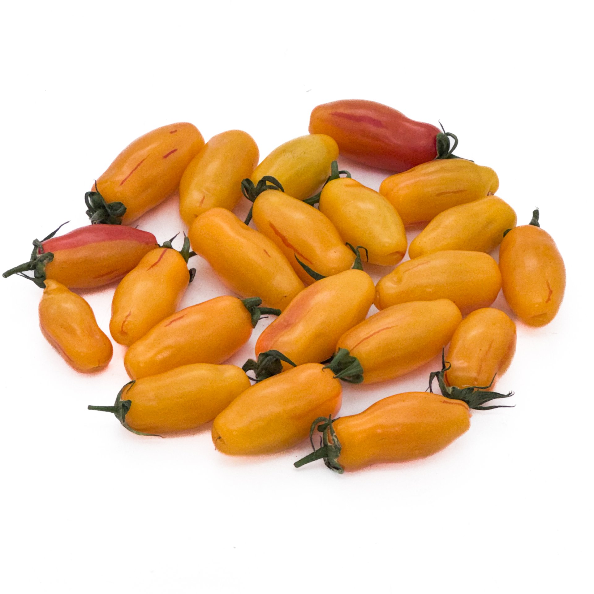 Harlequin Tiger Cherry Tomato