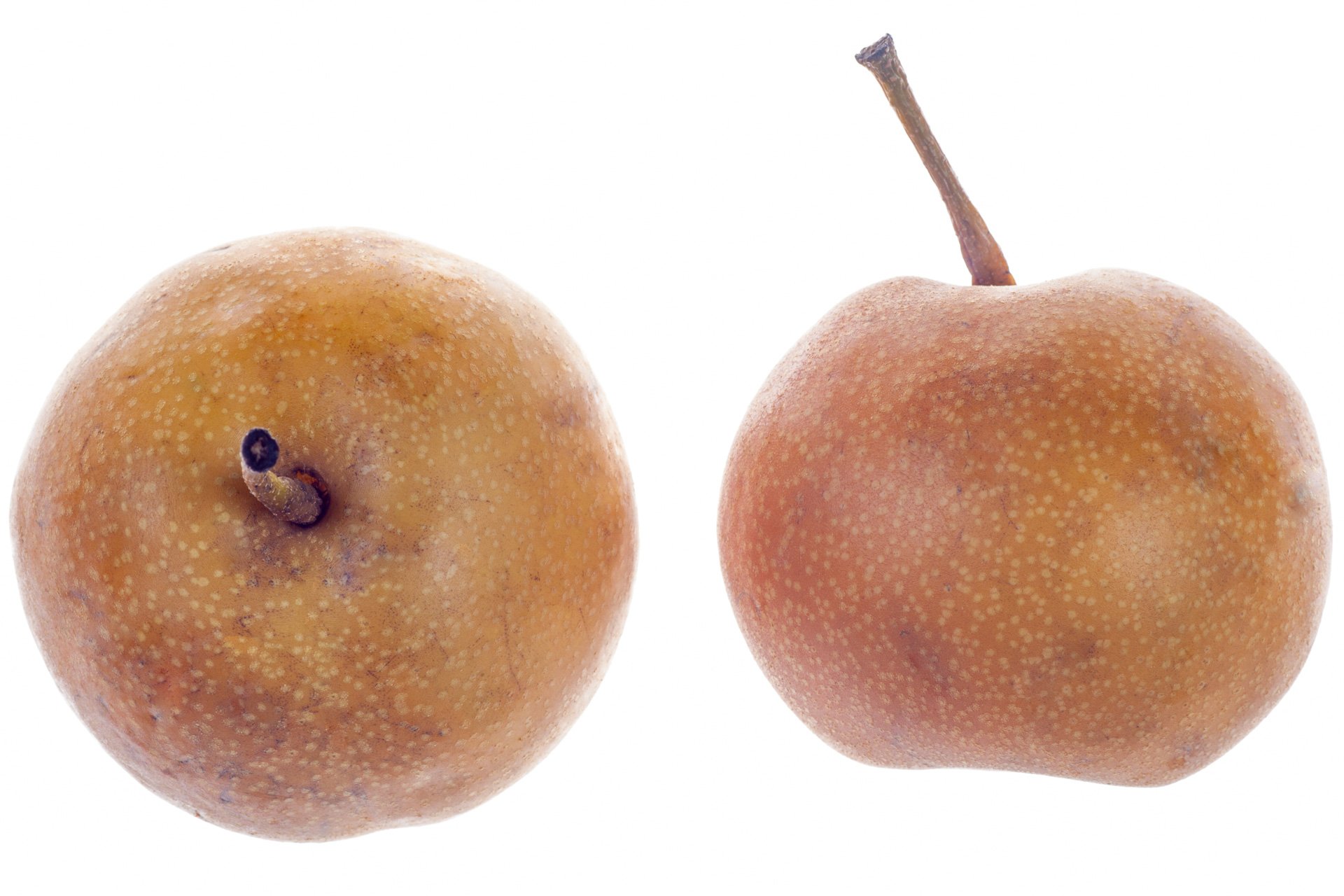 Nashi pear