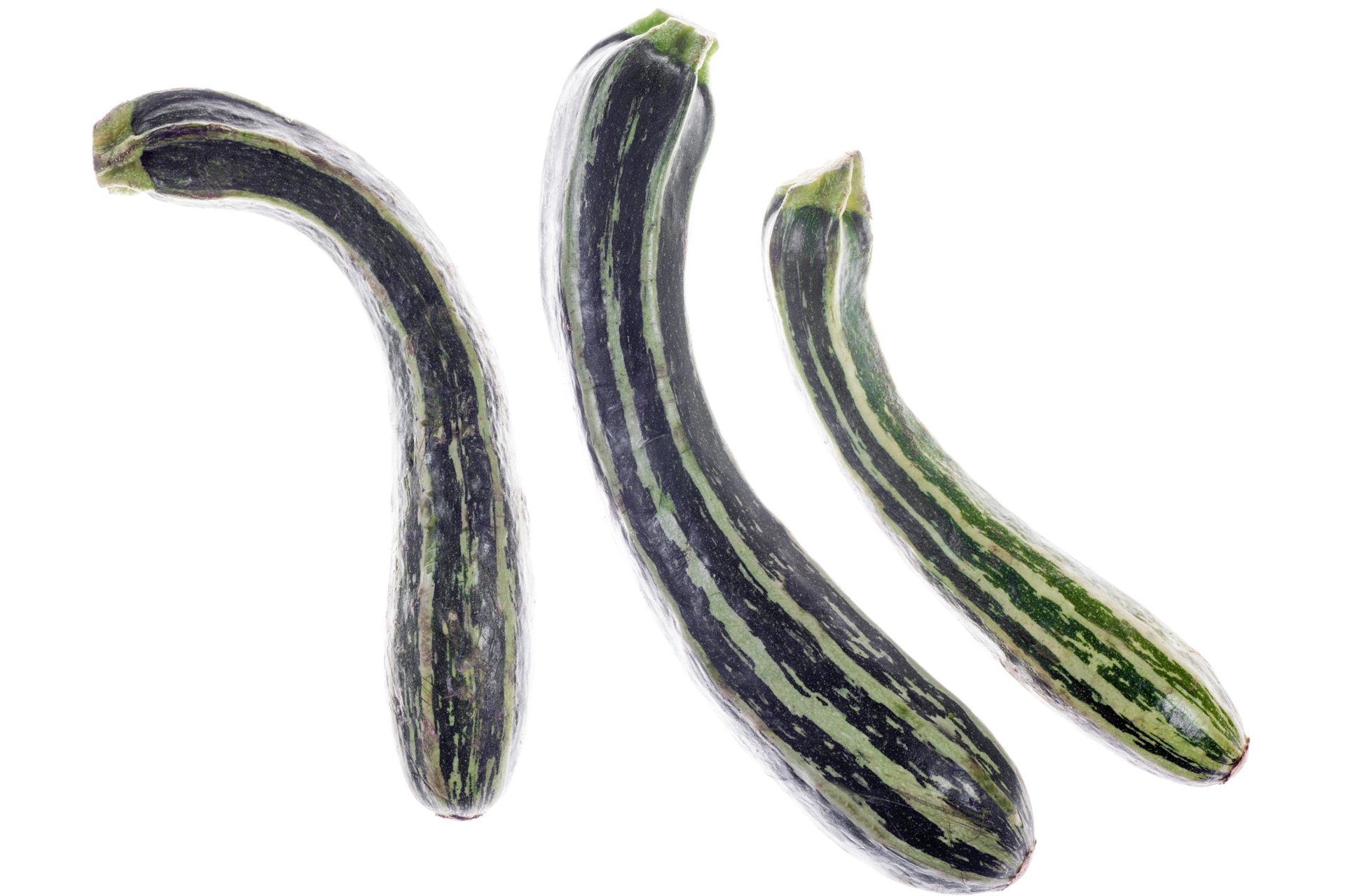 Zebra zucchini