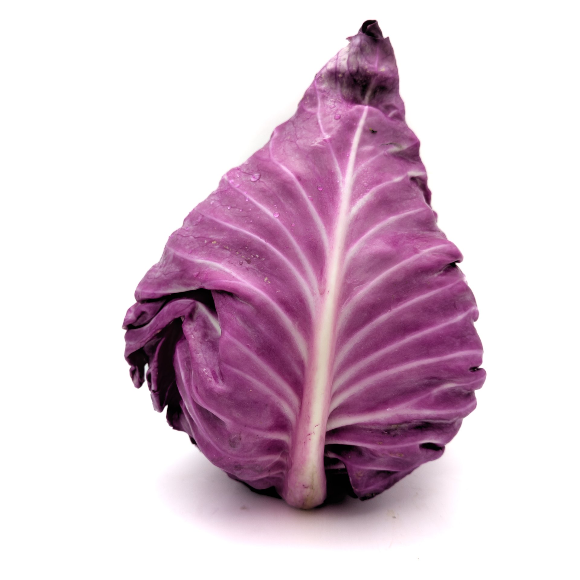 Purple Pyramid cabbage