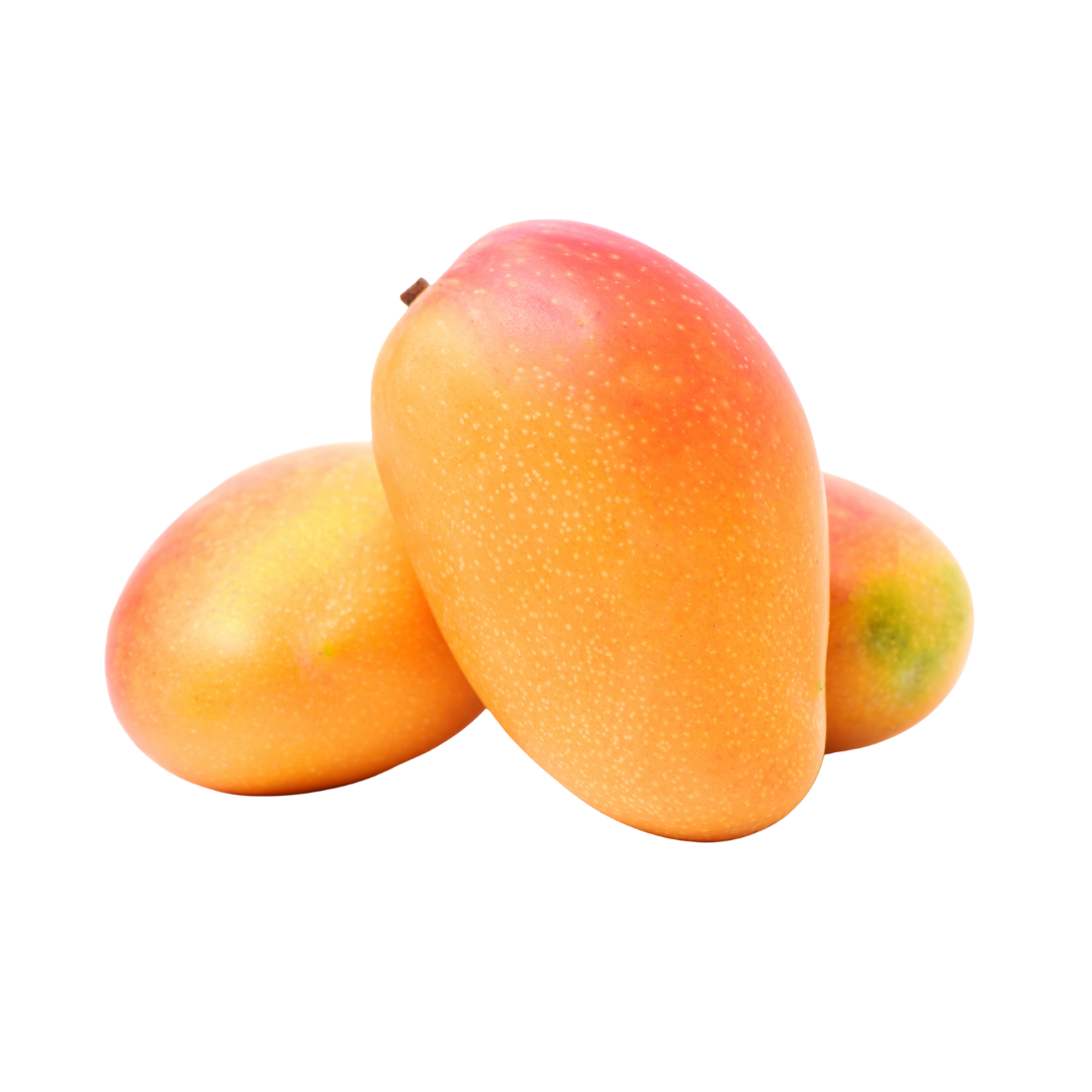 Mango David