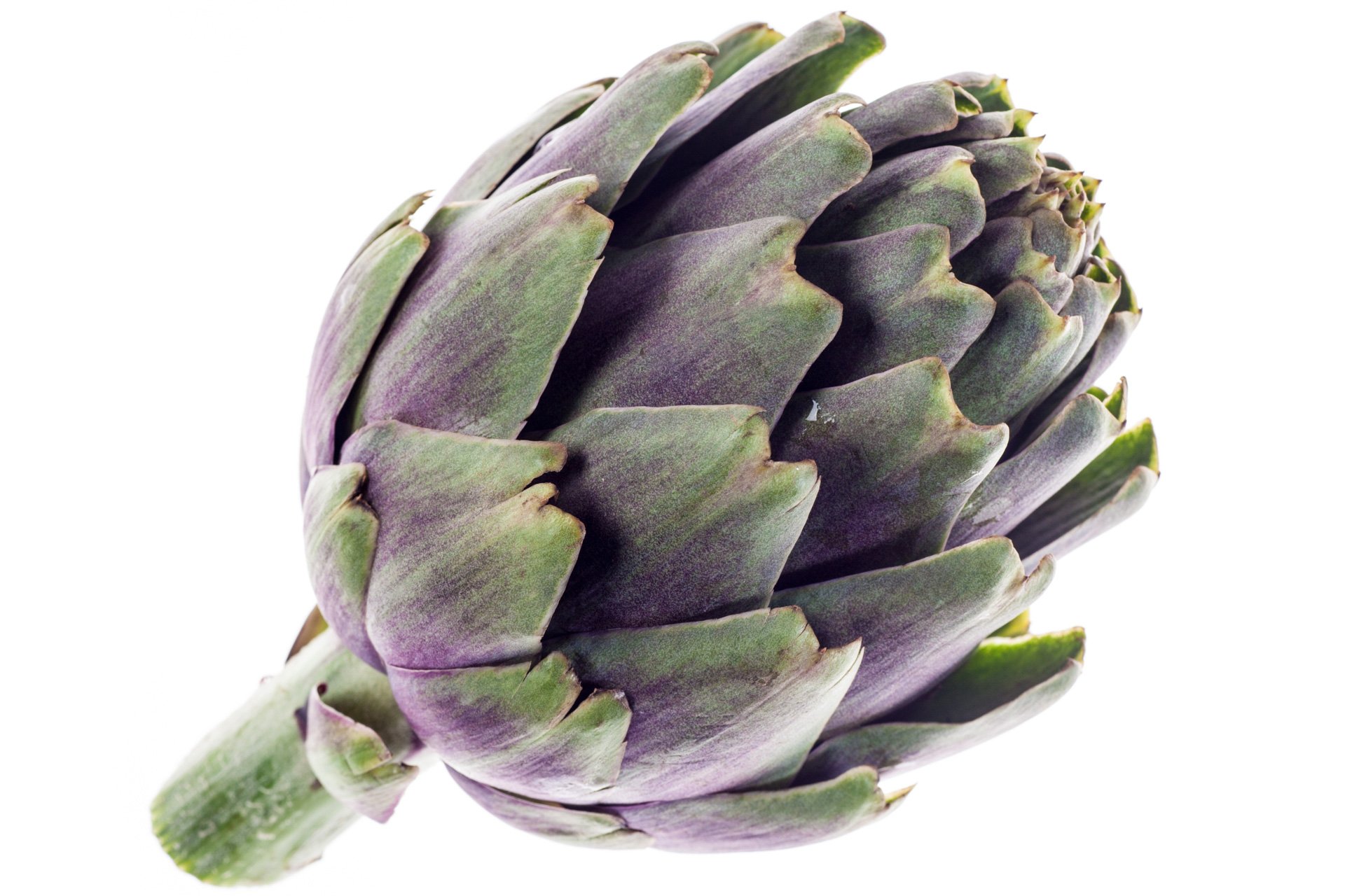 Artichoke