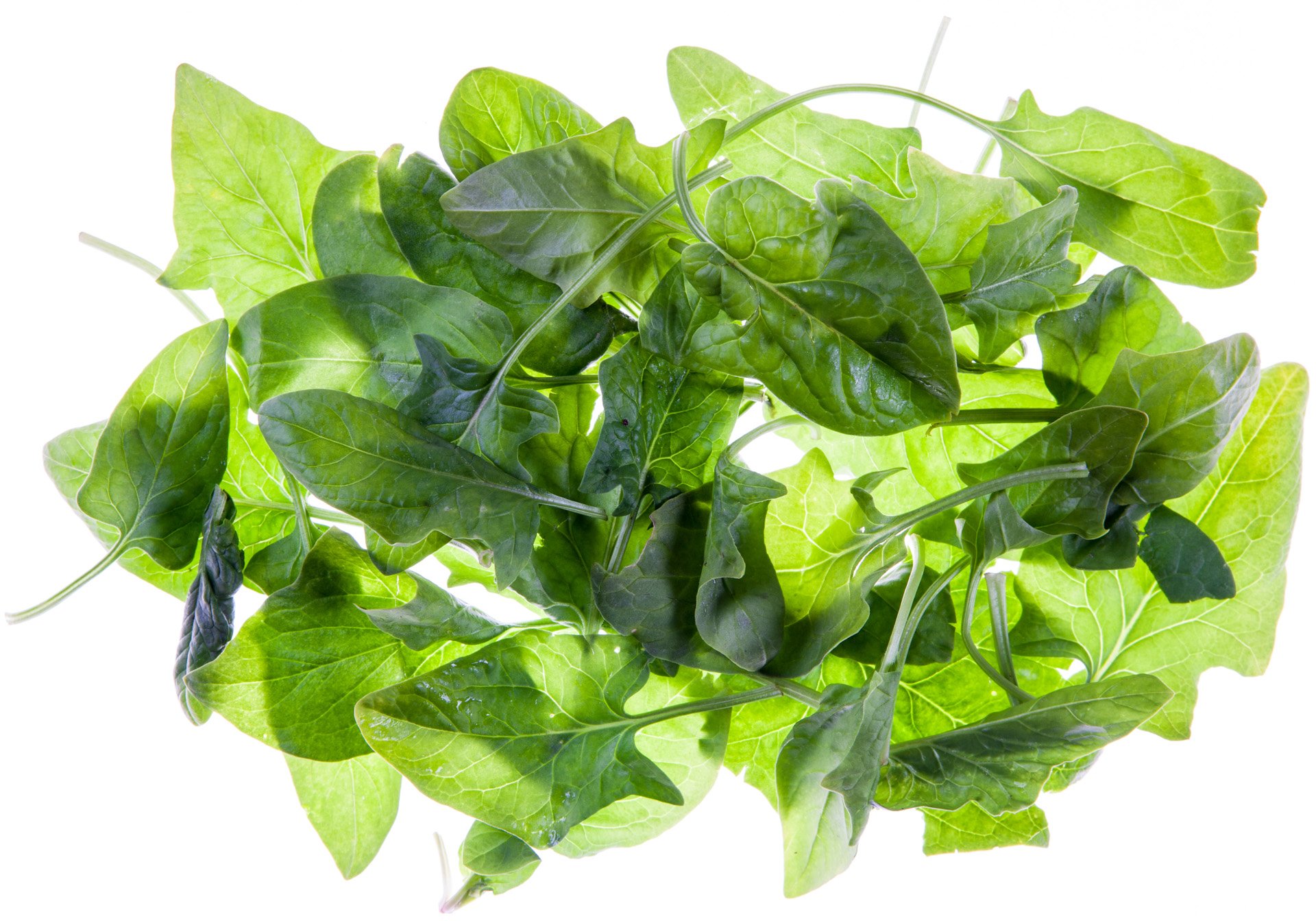 Baby spinach leaves