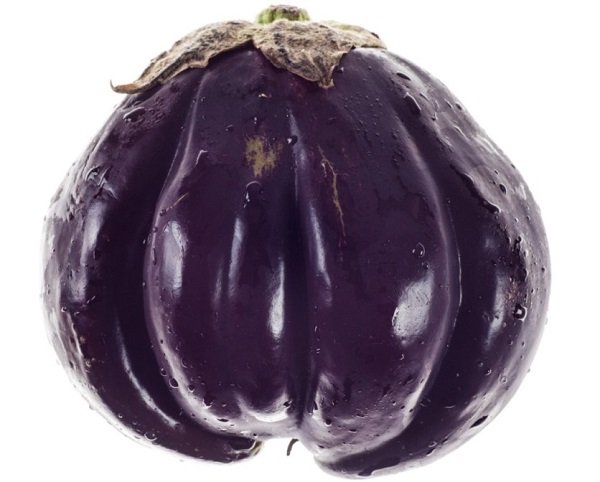 Baladi eggplant