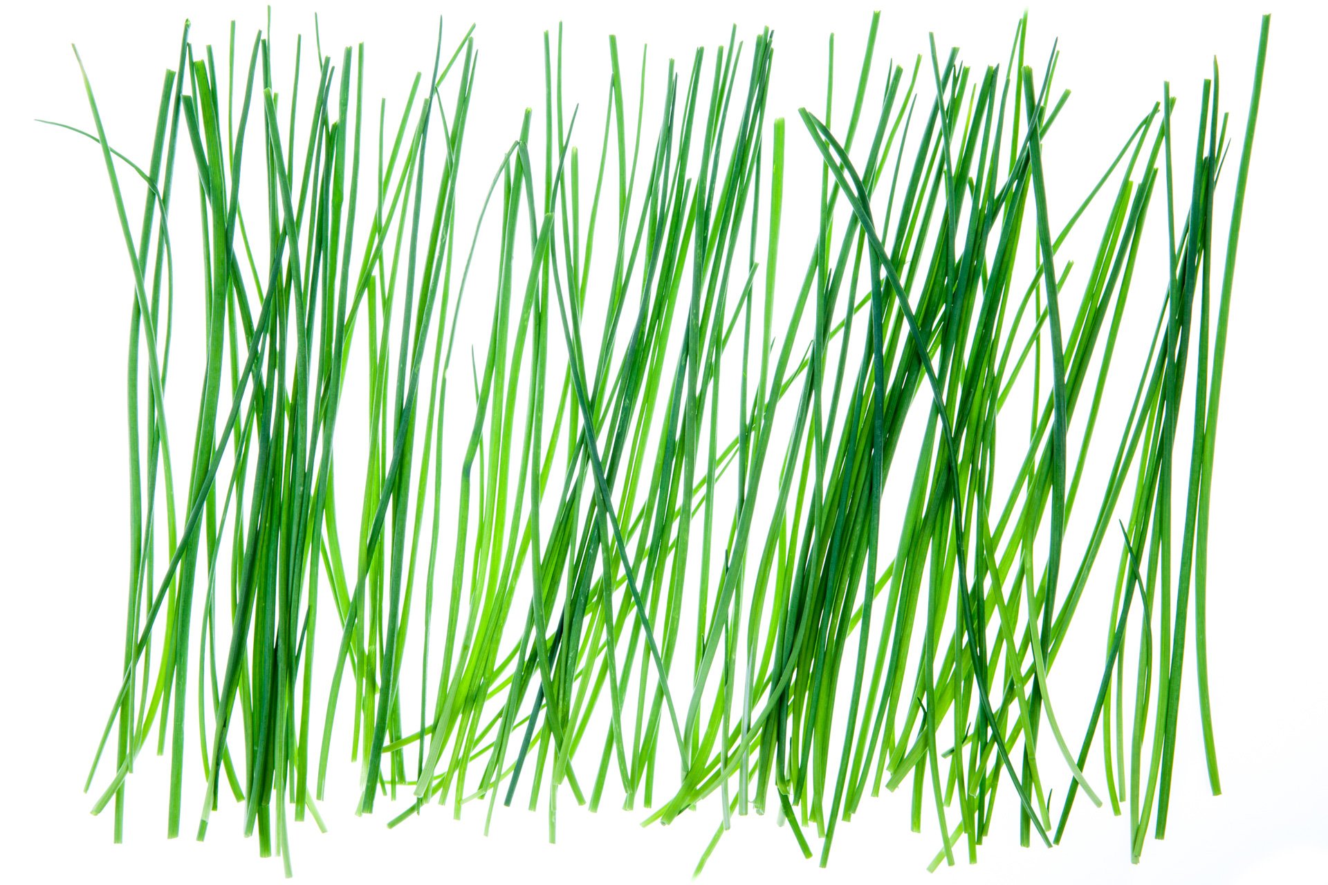 Chives