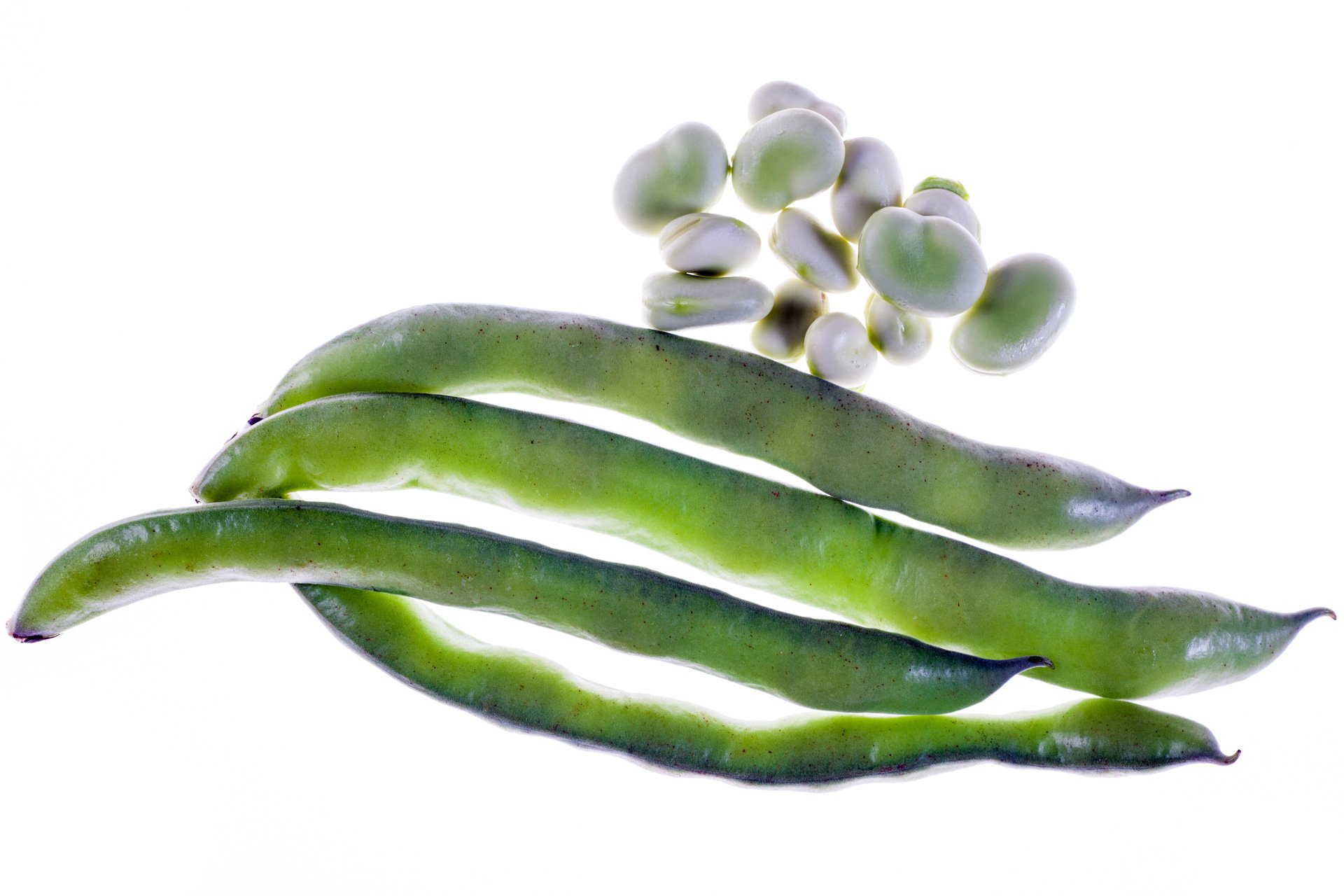 Faba / Fava beens