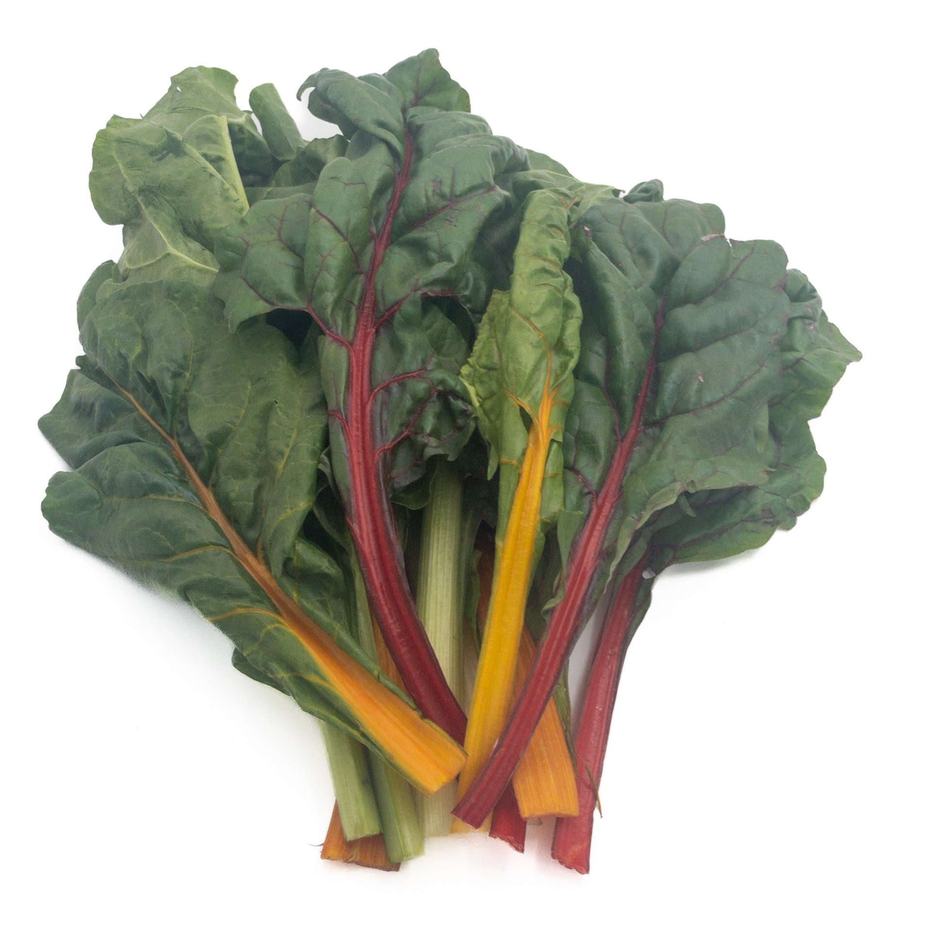 Colorful chard