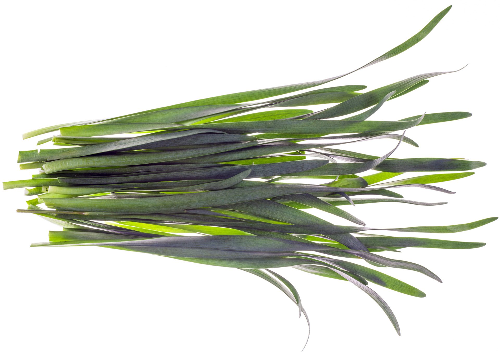 Green leaves garlic / Garleaf