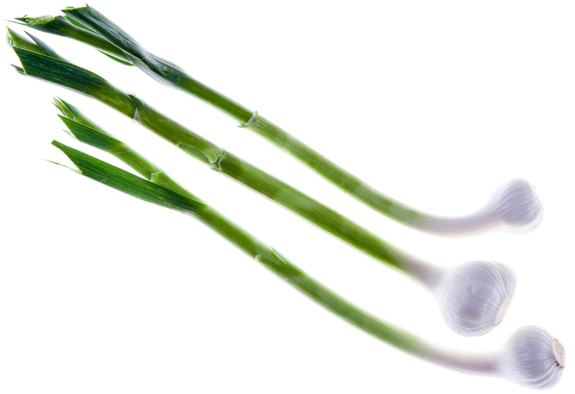Baby green garlic