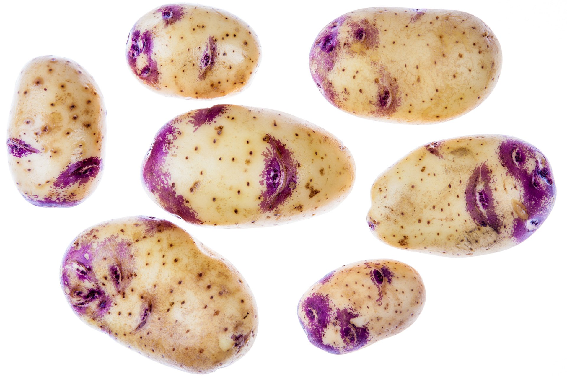 Kestrel / "lips" potatoes