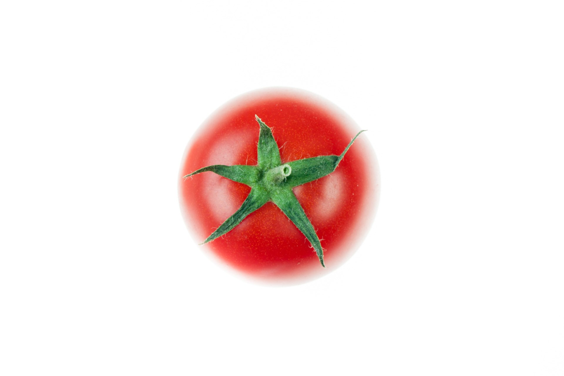 Tomato