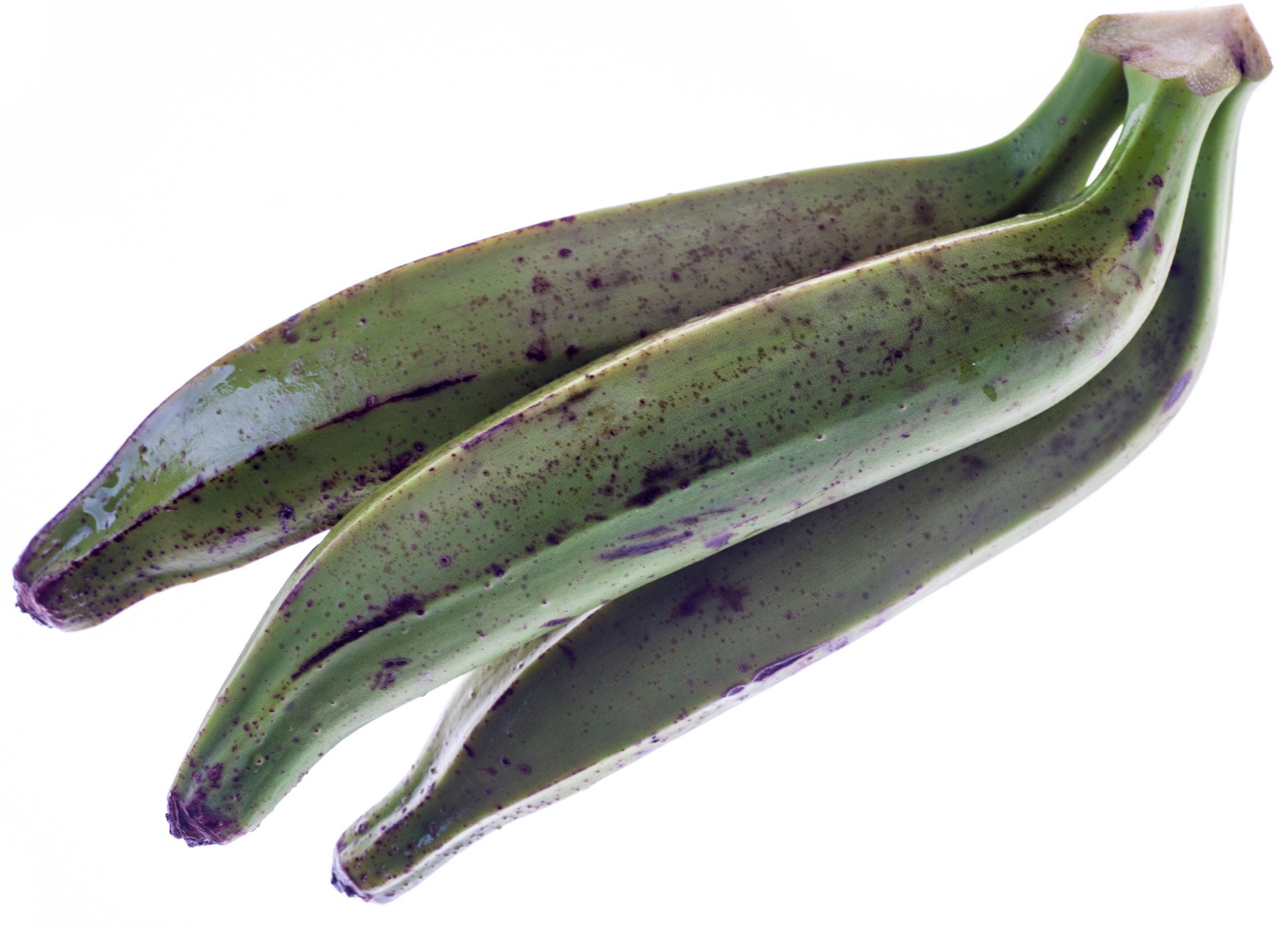 Plantain