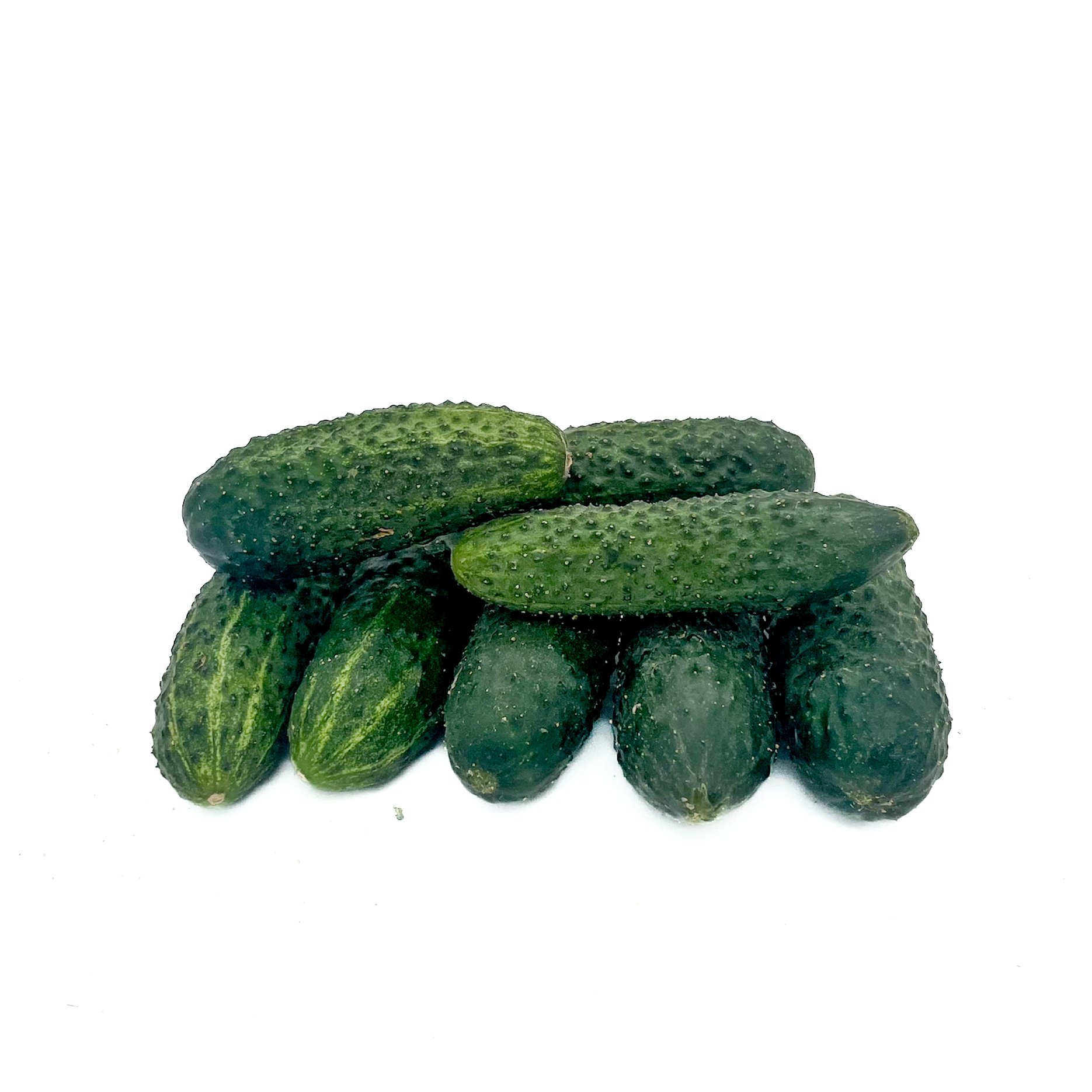 Cornichon \ Gerkin