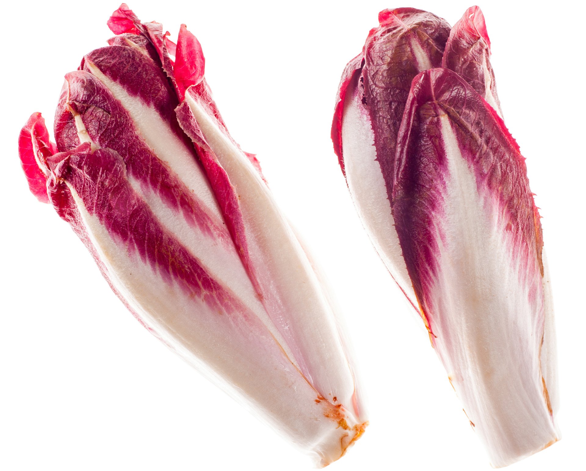 Red Belgian endive