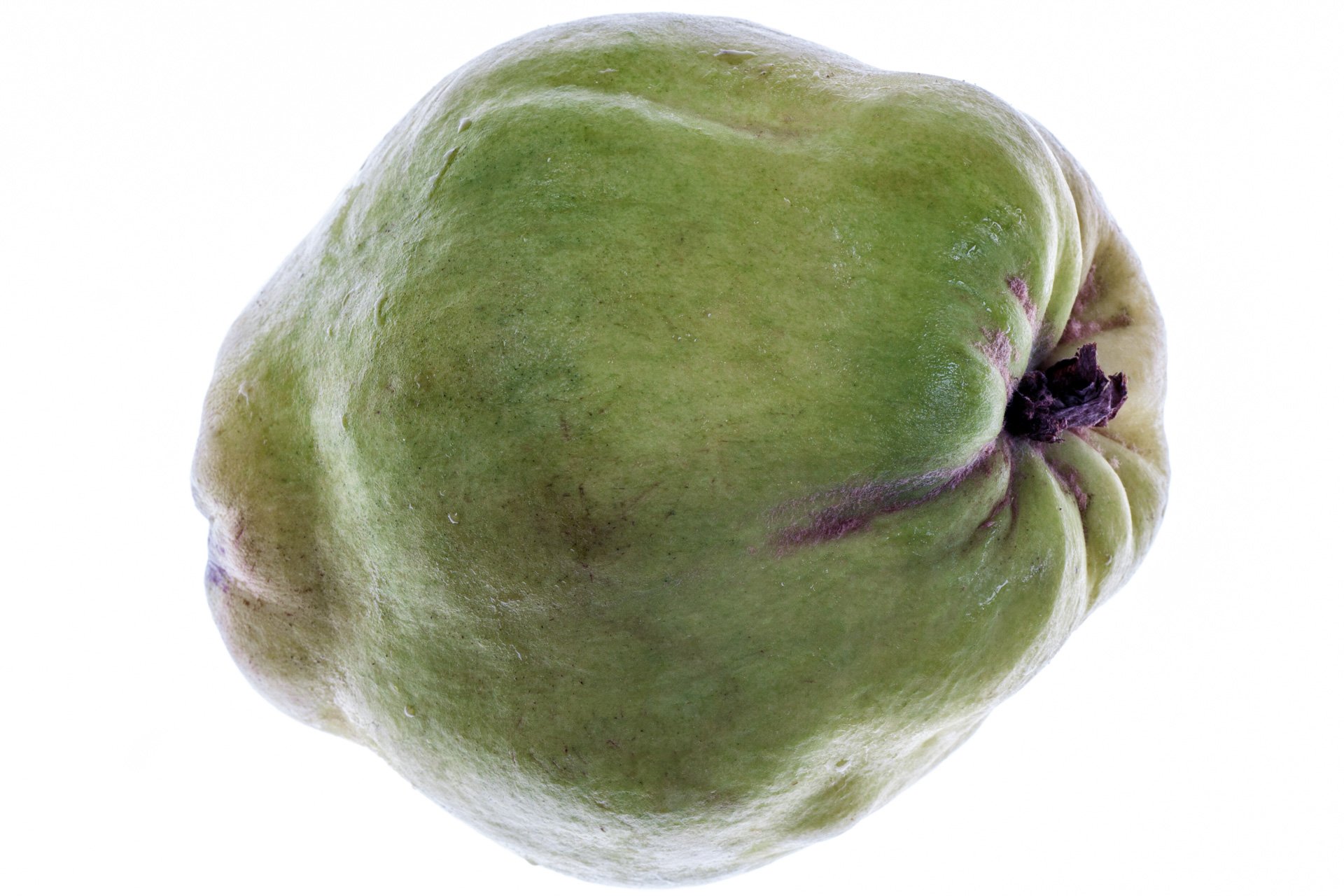 Quince