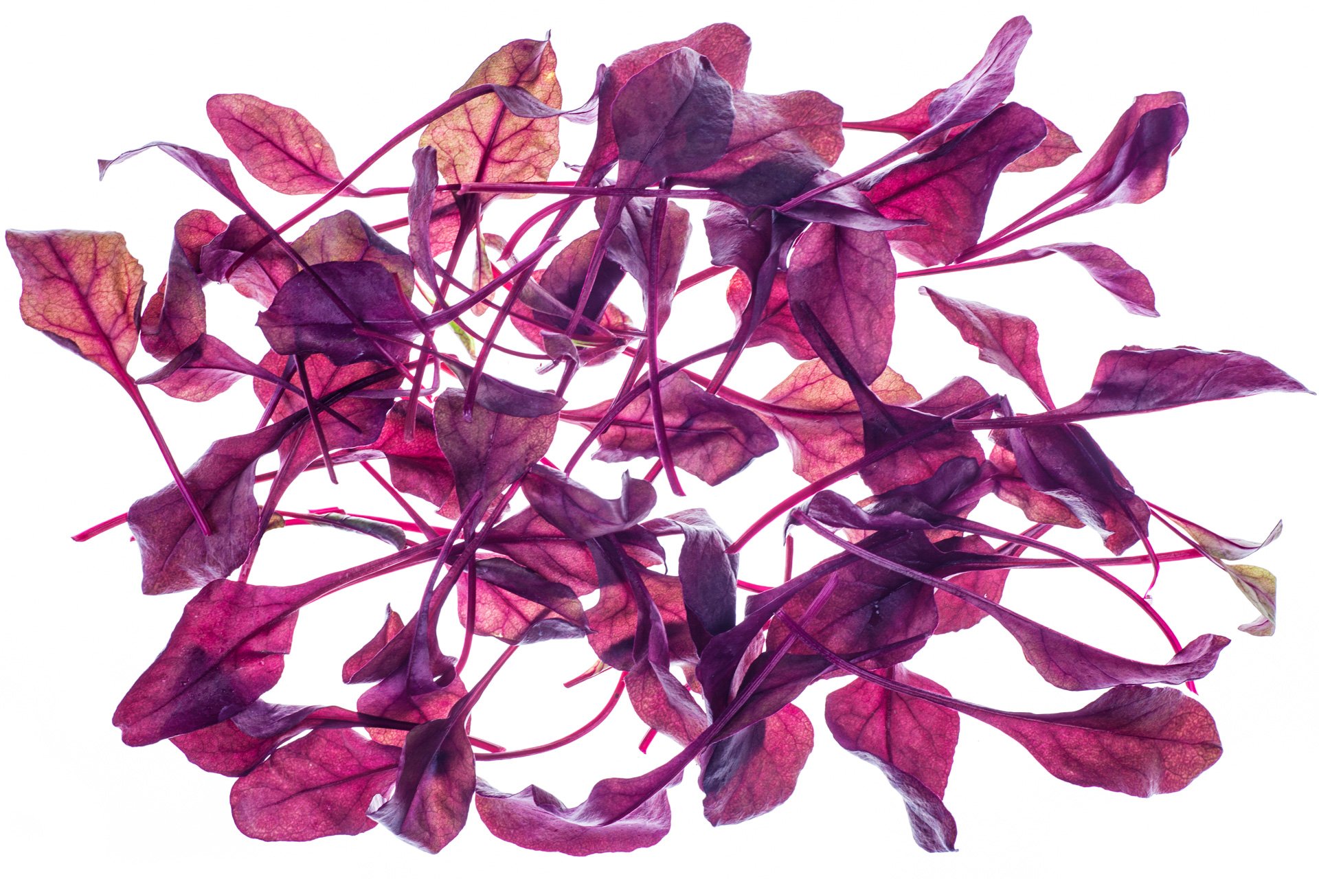 Red baby beet leaves