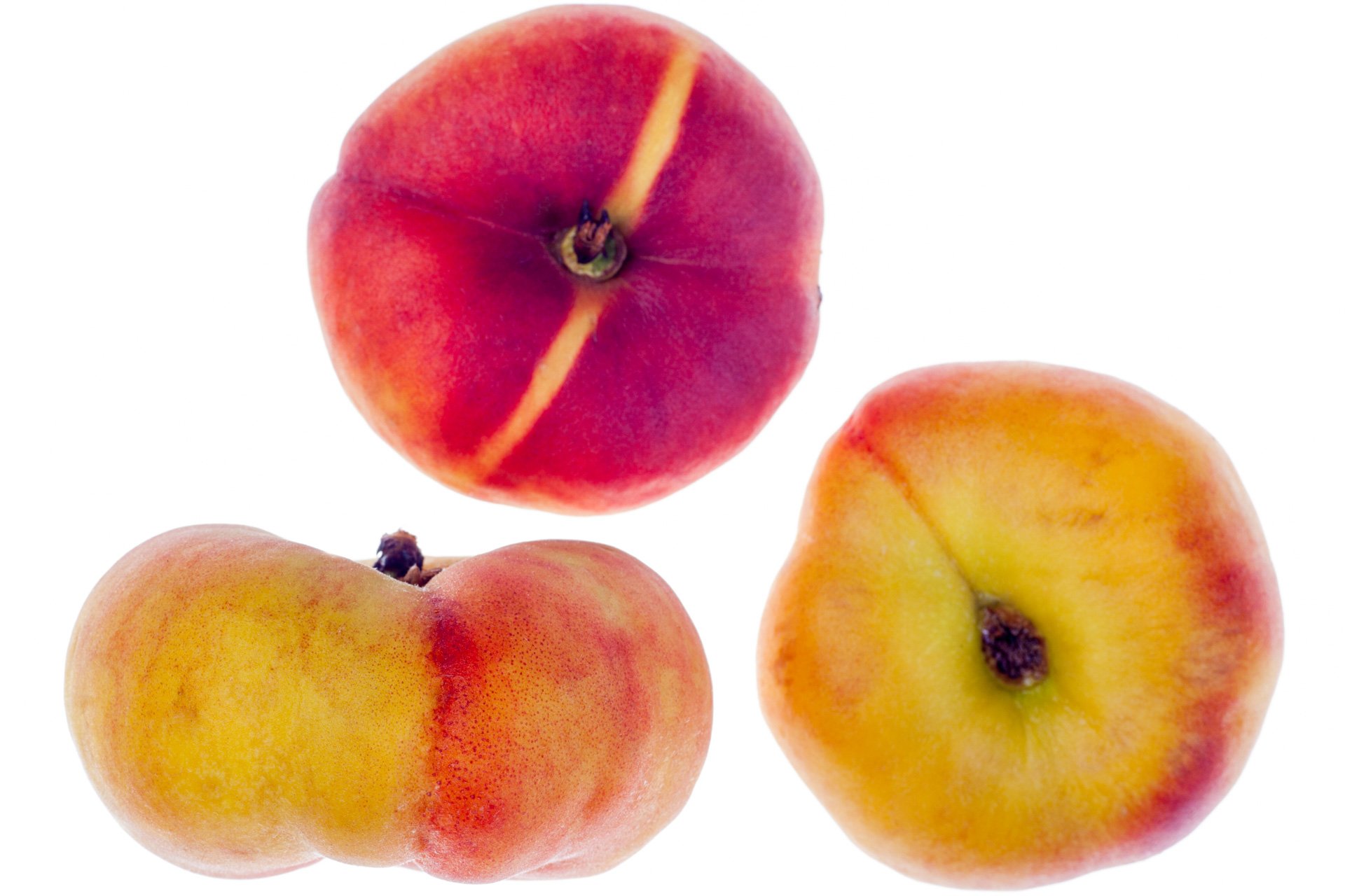 Saturn "Pita" peach 