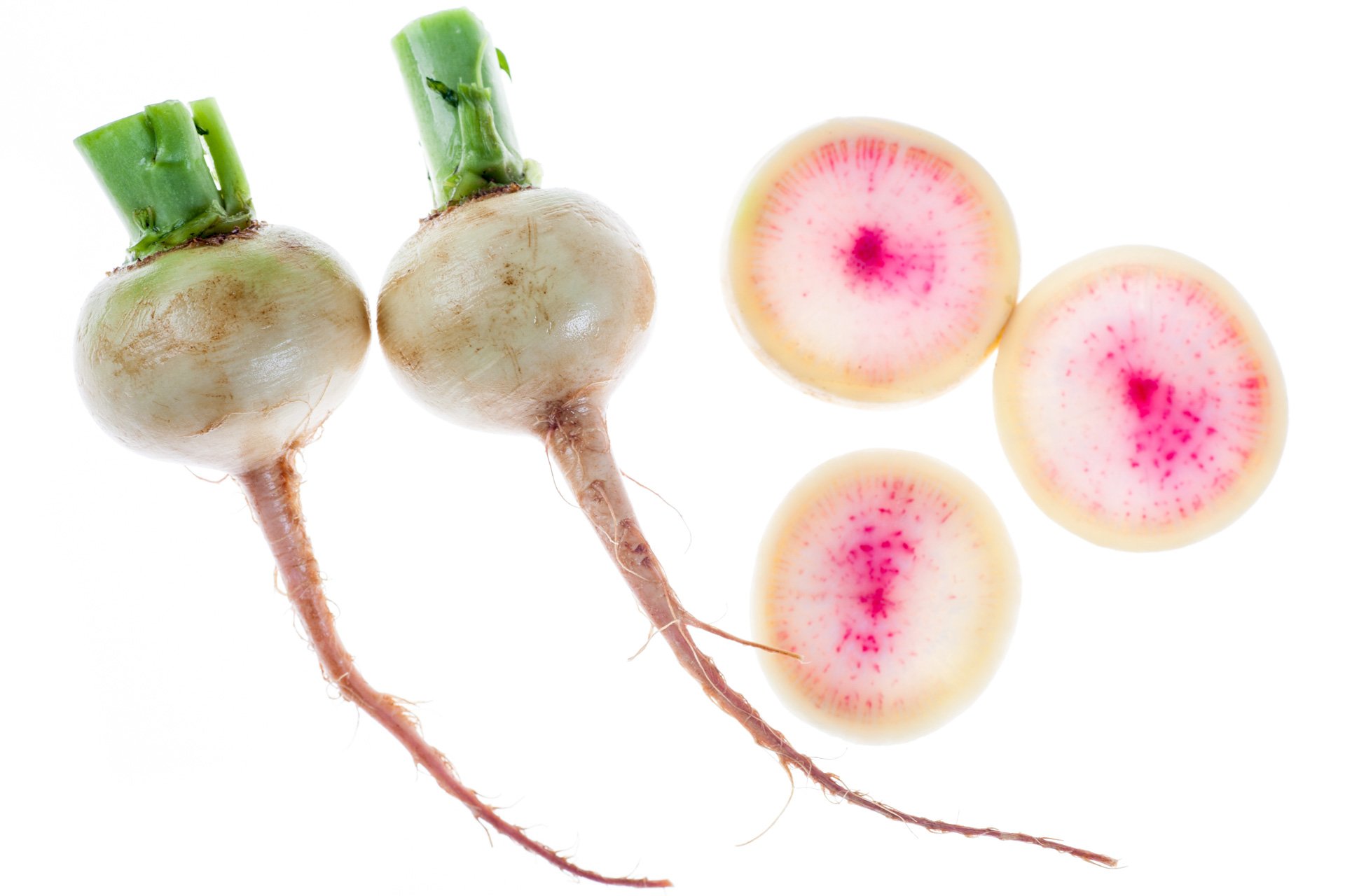 Watermelon radish