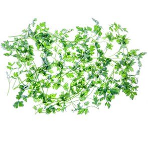 Parsley