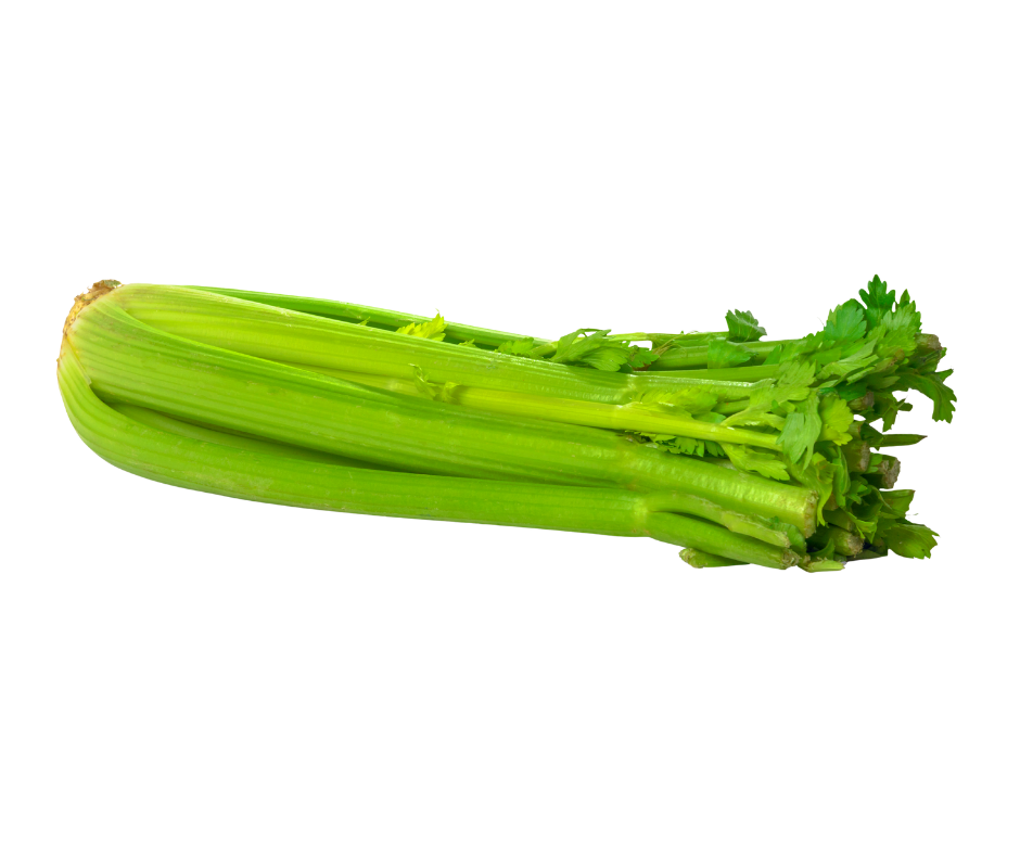 American Celery