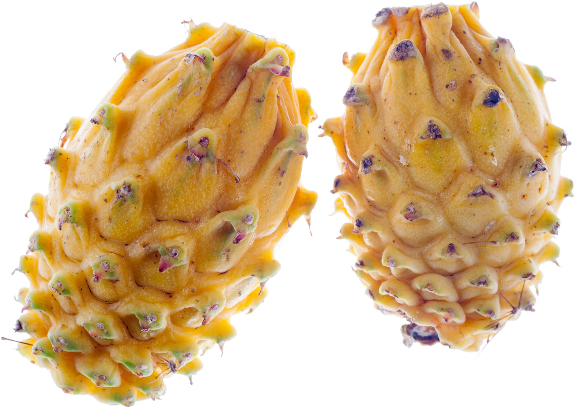Golden dragon fruit / pitaya