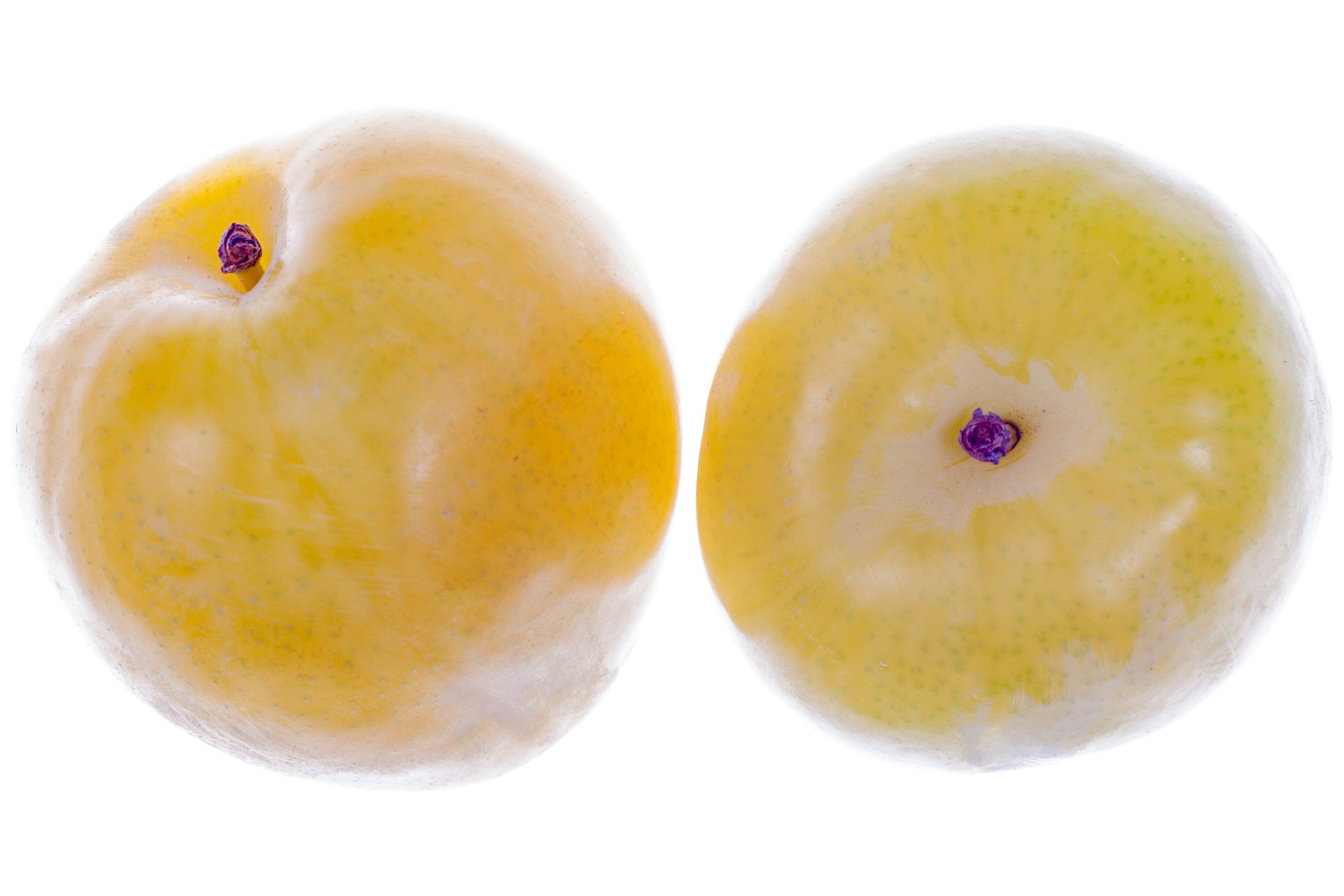 Yellow plum