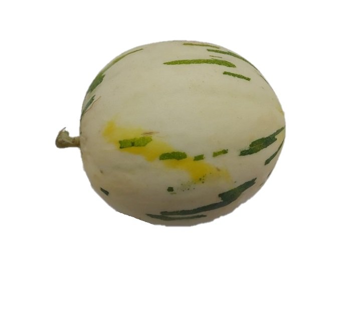 Canary melon