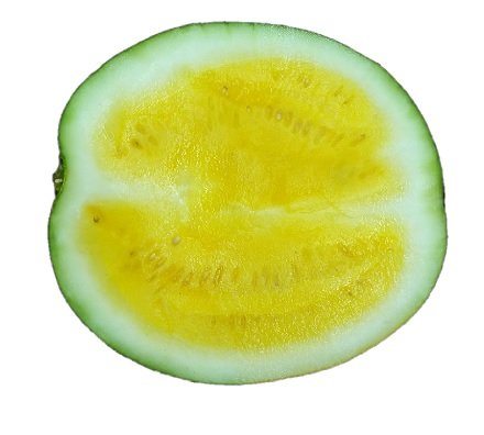 Yellow watermelon