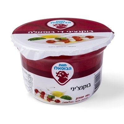 Bocanccini