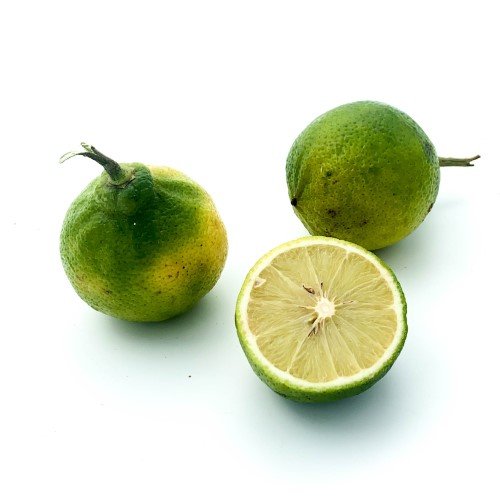 Bergamot