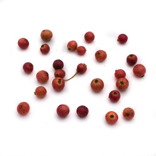 Panama berry