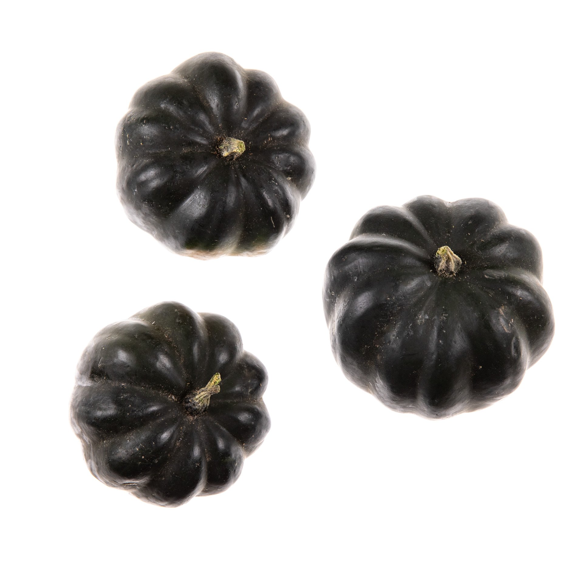 Chestnut (acorn) pumpkin