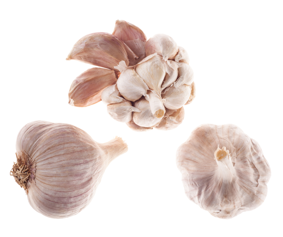 Israeli Garlic Heads – Pack