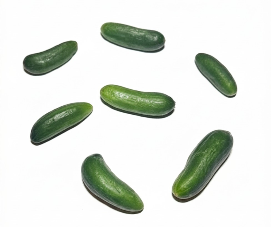 מלפפון מיני ביס