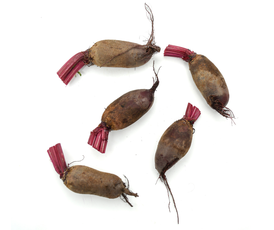 Baby Cylindra Beets