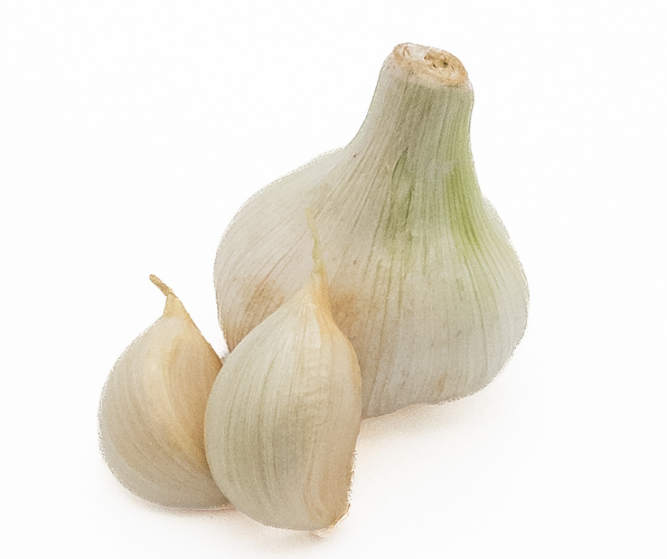 Tal Garlic