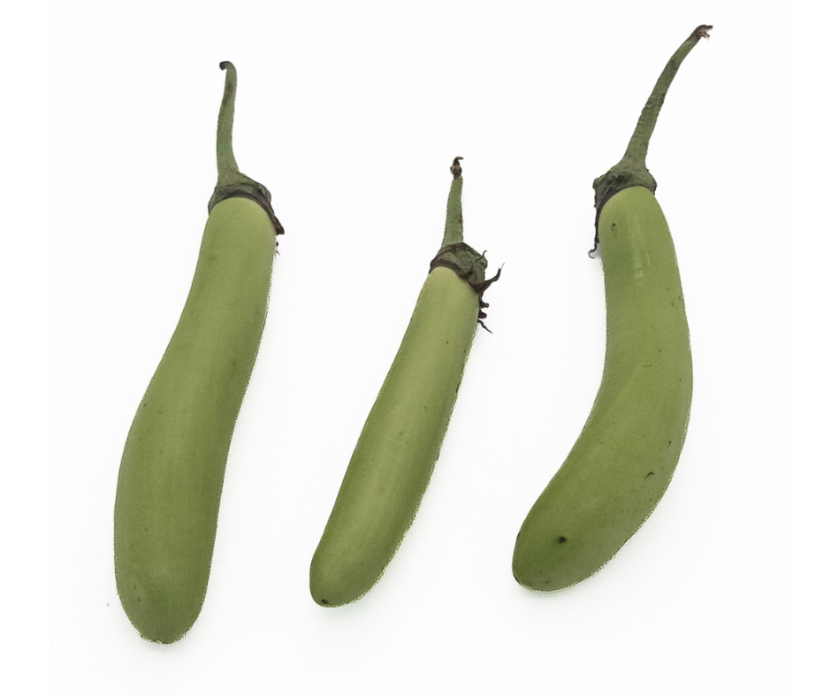 Long Green Eggplant