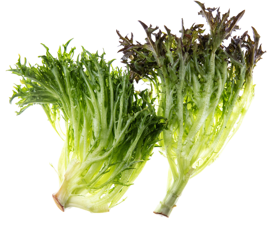 Frisée (Curly Endive)