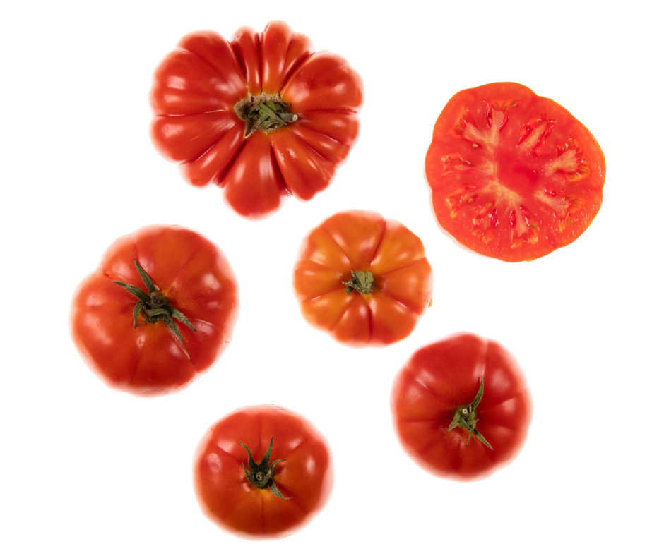 Oxheart tomato