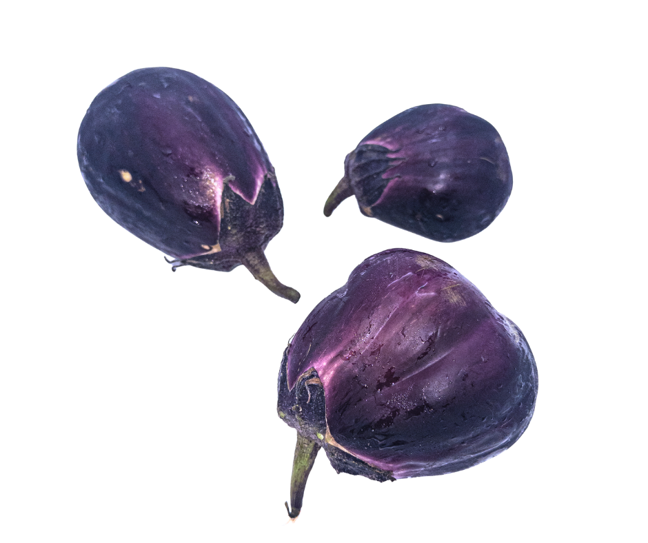 Mizunasu Eggplant