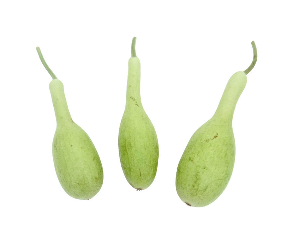Kara Pumpkin (Bottle Gourd)