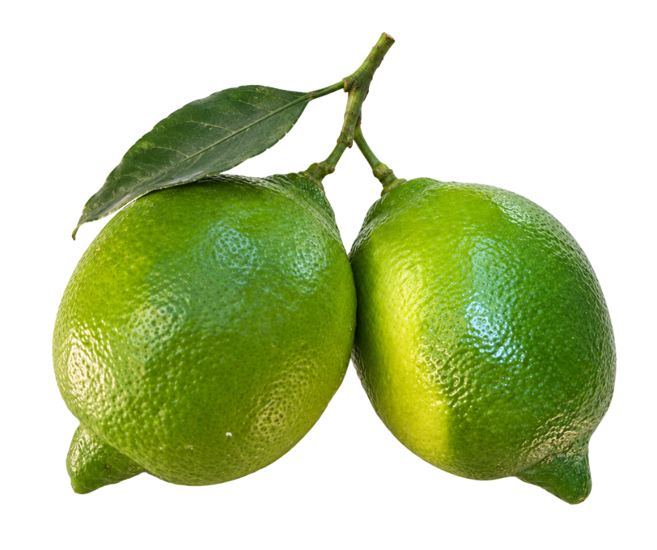 Italian Interdonato Lemon